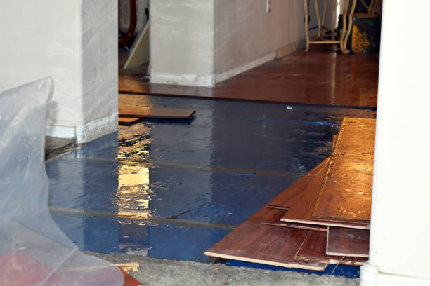 Professional Sewage Cleanup technician working in Fowlerton, TX